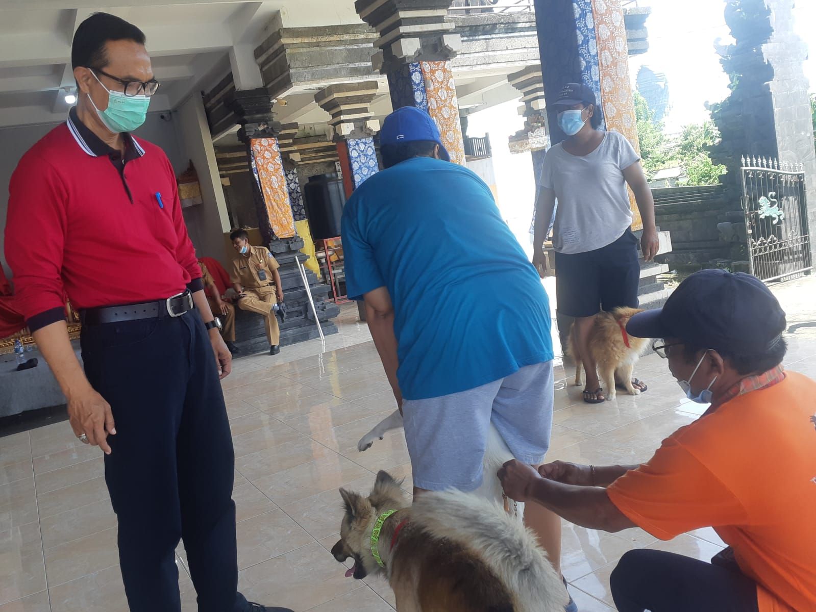 podiumnews.com-Jelang G20, Pemkab Badung Vaksinasi Rabies Anjing Liar di Kawasan GWK 